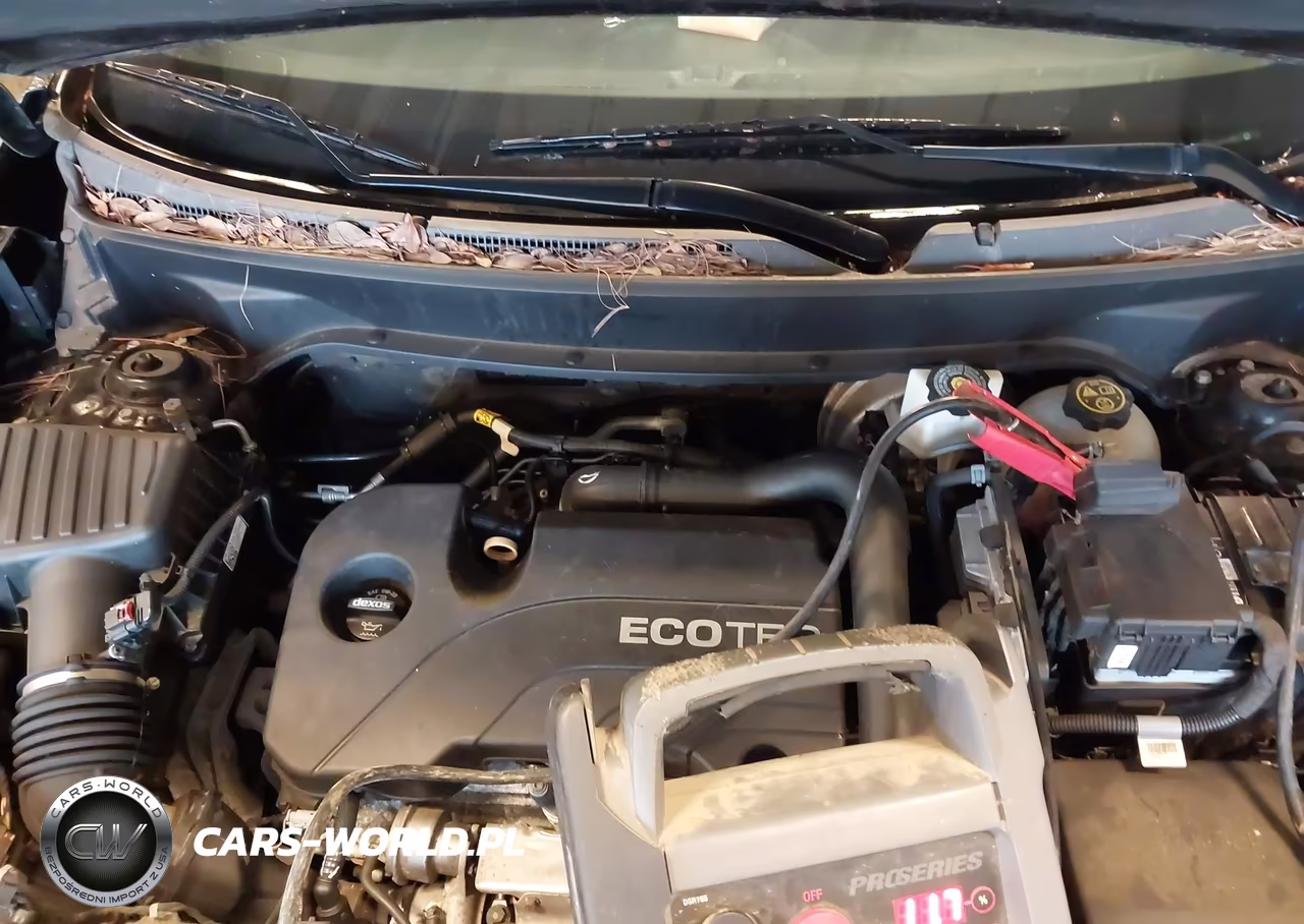 2019 Chevrolet Equinox Lt VIN:3GNAXKEV4KL188857 - 10