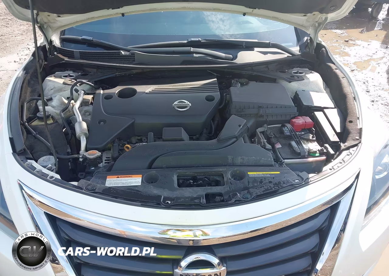 2015 Nissan Altima 2.5-2.5 S-2.5 Sl-2.5 Sv VIN:1N4AL3AP6FN335435 - 10