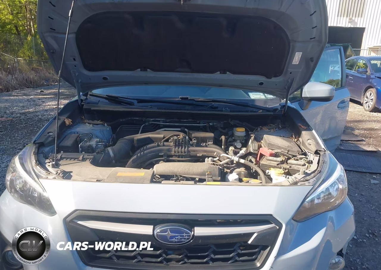 2019 Subaru Crosstrek 2.0I Premium VIN:JF2GTAEC6K8258074 - 10