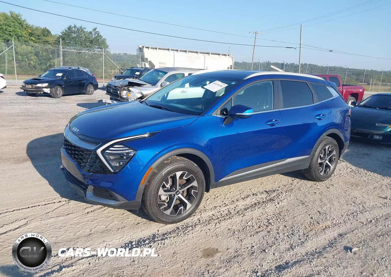 2024 Kia Sportage Ex VIN:5XYK3CDF4RG230132 - 2