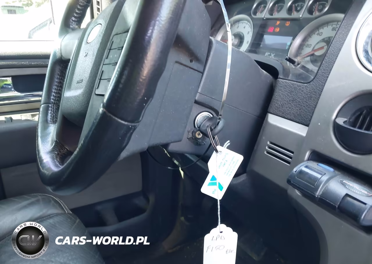 2010 Ford F-150 Fx2 Sport-Xl-Xlt VIN:1FTEW1C80AKB60056 - 11