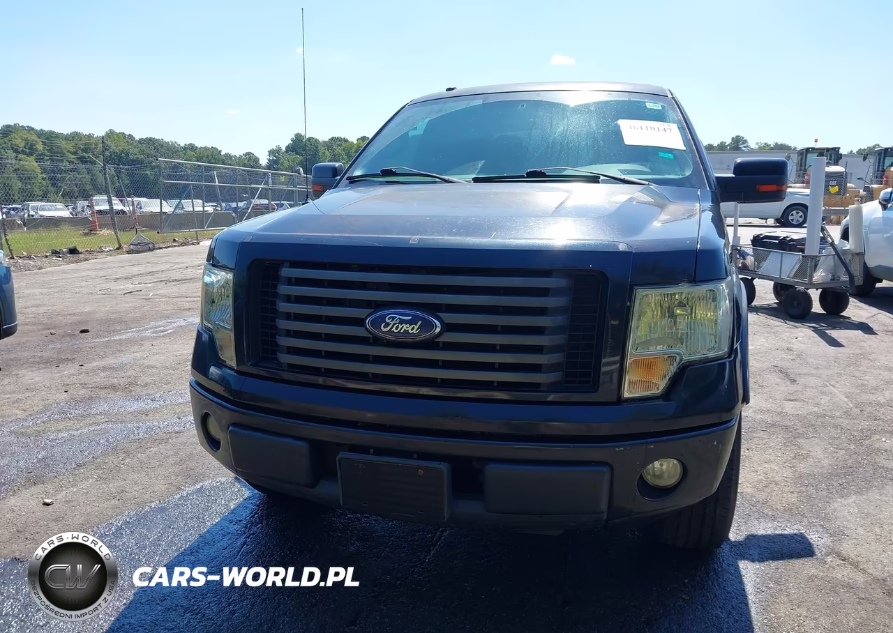 2010 Ford F-150 Fx2 Sport-Xl-Xlt VIN:1FTEW1C80AKB60056 - 13