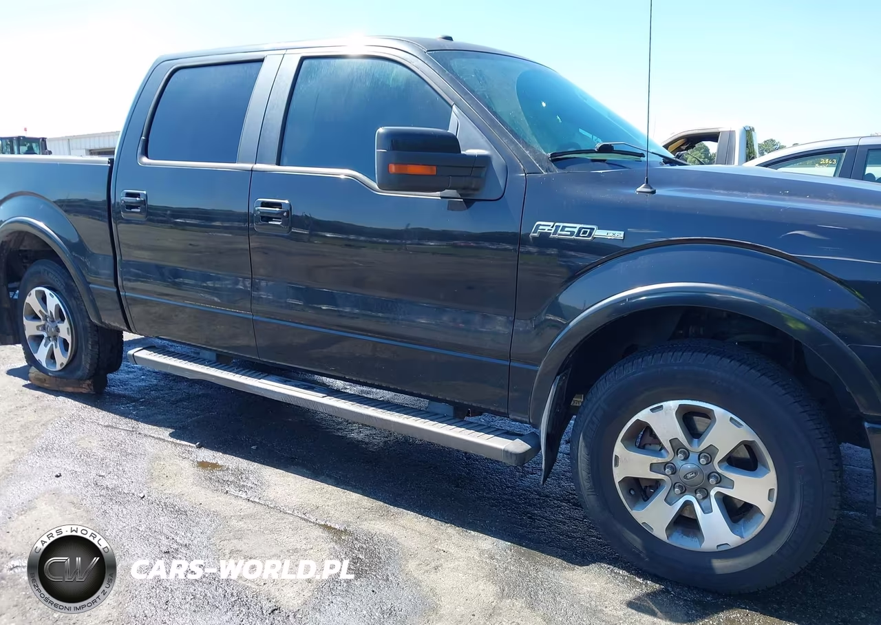2010 Ford F-150 Fx2 Sport-Xl-Xlt VIN:1FTEW1C80AKB60056 - 14