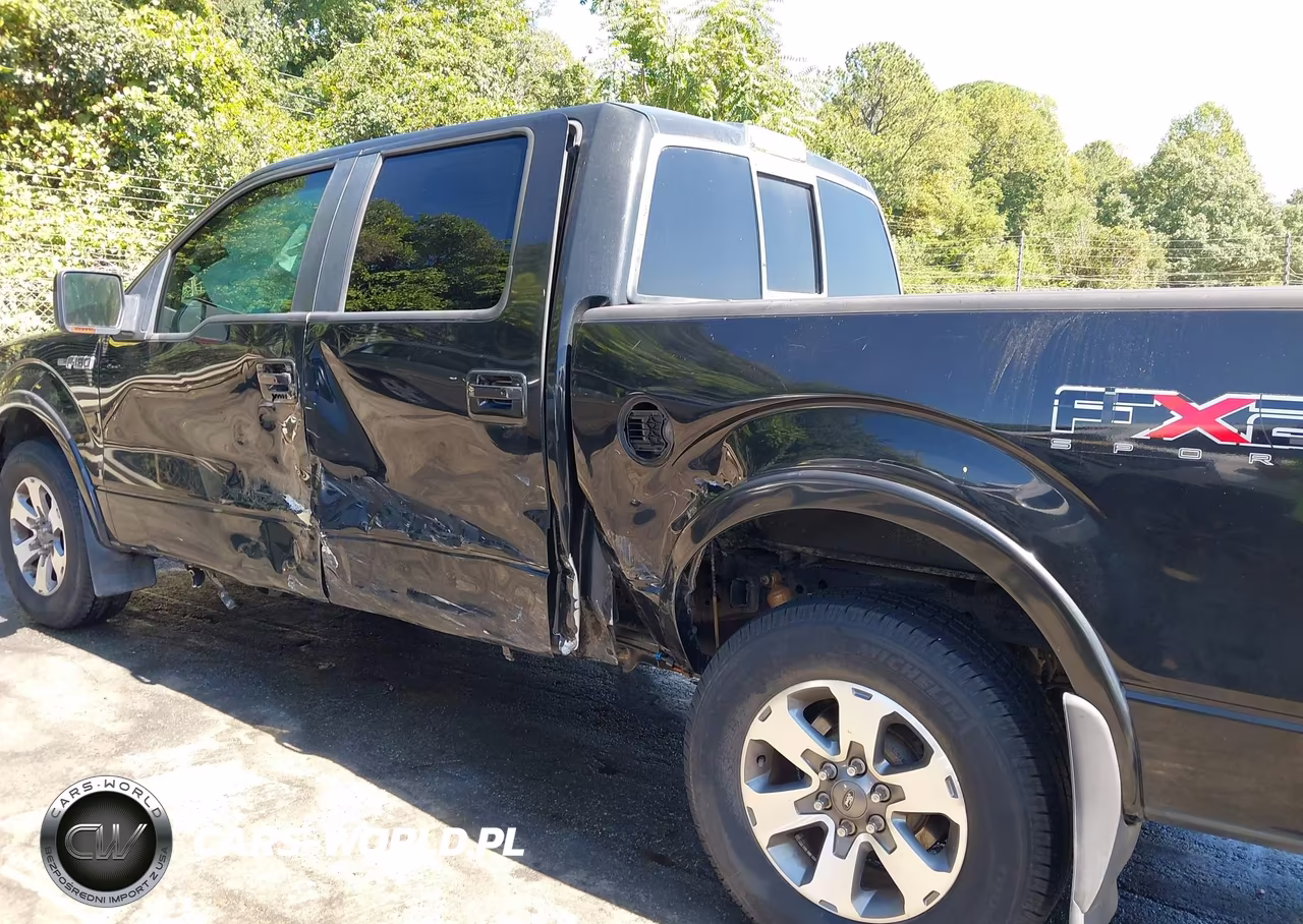 2010 Ford F-150 Fx2 Sport-Xl-Xlt VIN:1FTEW1C80AKB60056 - 15