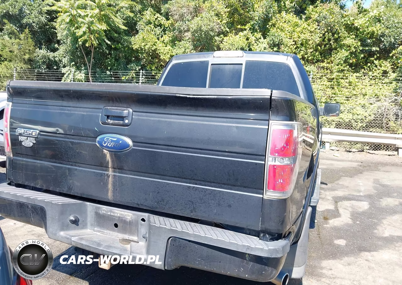 2010 Ford F-150 Fx2 Sport-Xl-Xlt VIN:1FTEW1C80AKB60056 - 17