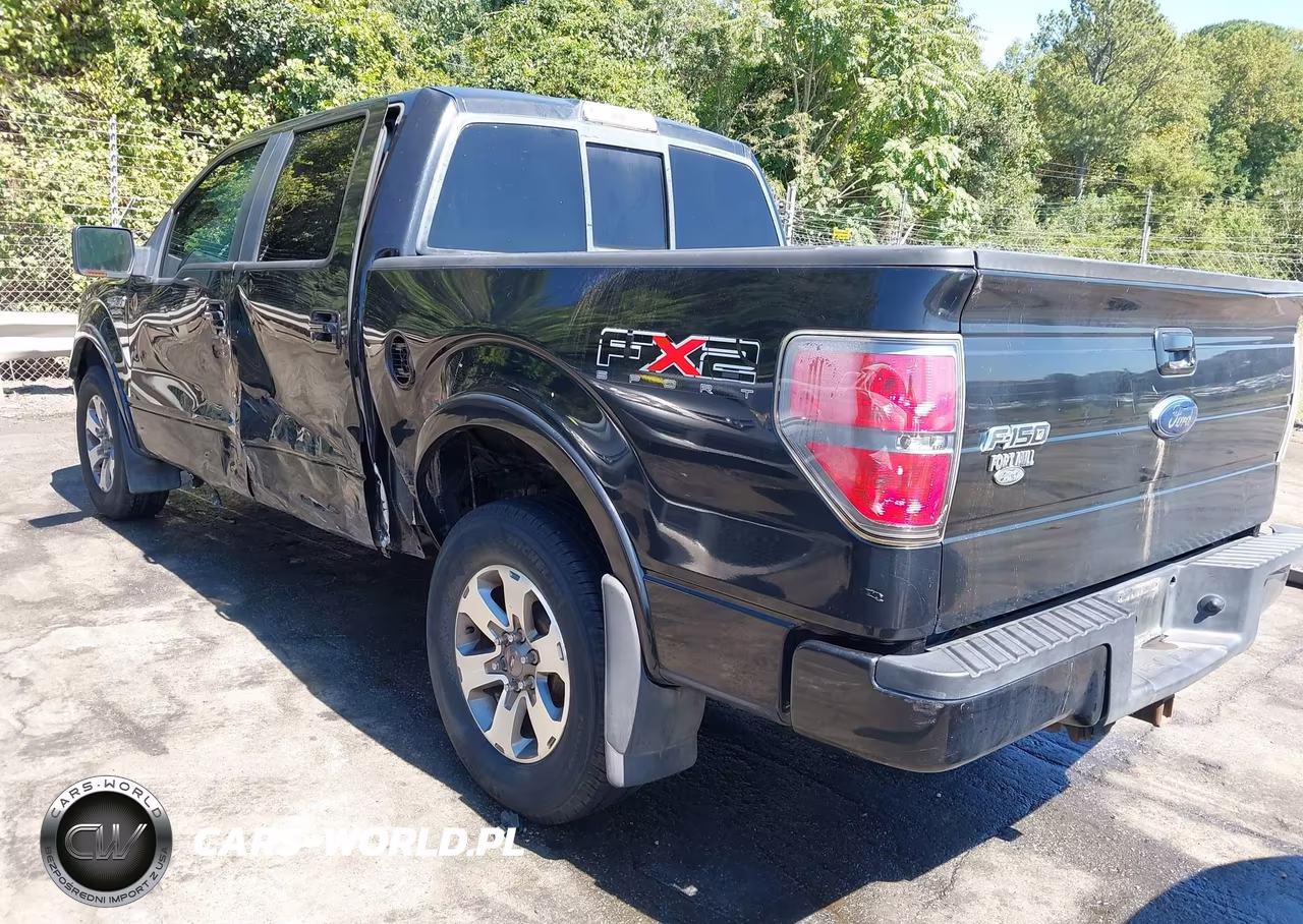 2010 Ford F-150 Fx2 Sport-Xl-Xlt VIN:1FTEW1C80AKB60056 - 3