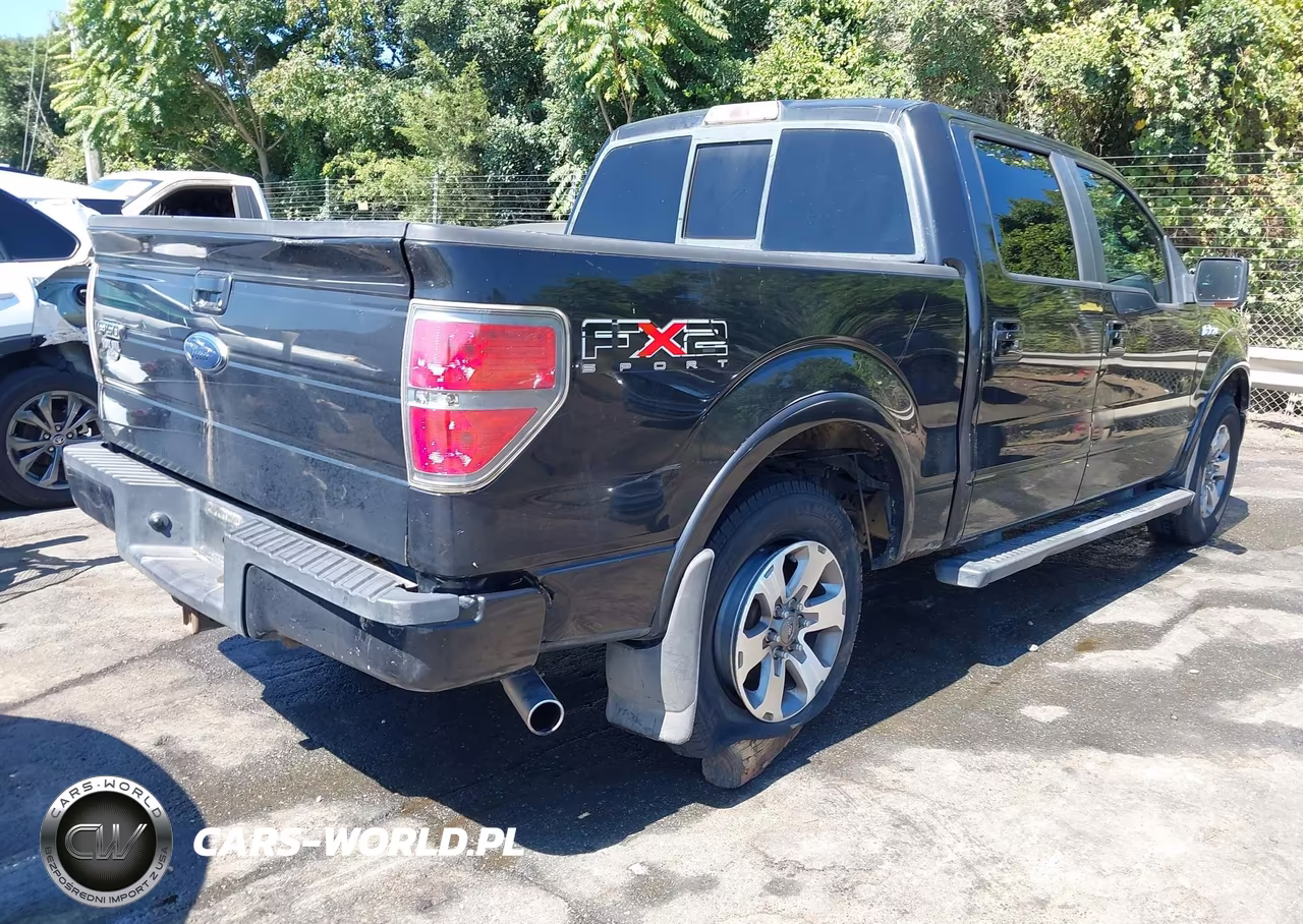 2010 Ford F-150 Fx2 Sport-Xl-Xlt VIN:1FTEW1C80AKB60056 - 4