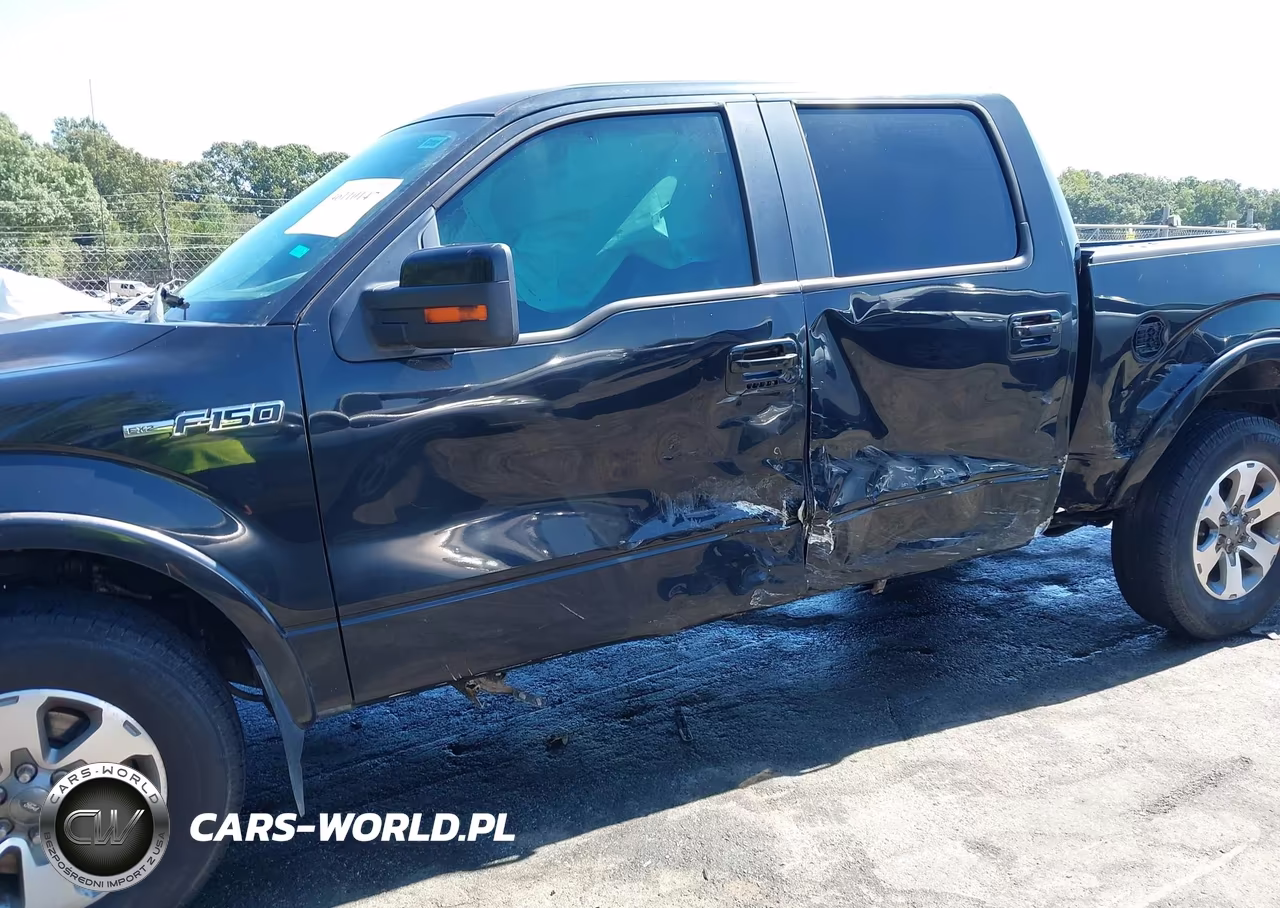 2010 Ford F-150 Fx2 Sport-Xl-Xlt VIN:1FTEW1C80AKB60056 - 6