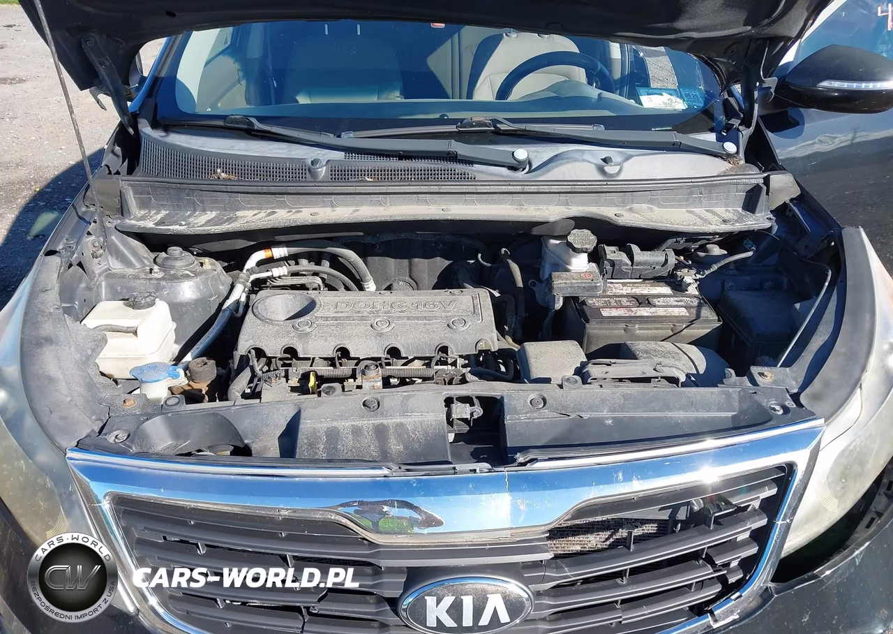 2013 Kia Sportage Lx VIN:KNDPBCA24D7487694 - 10