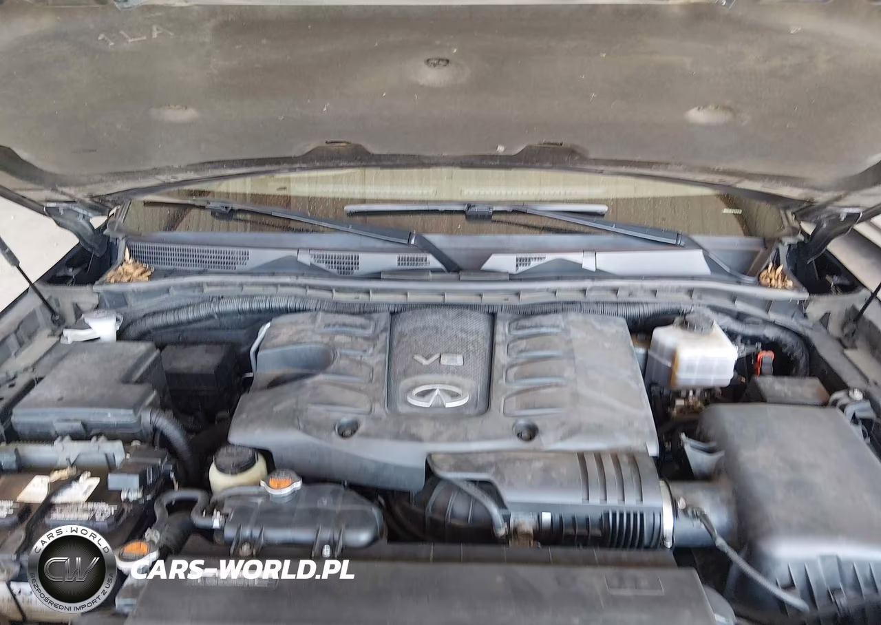 2015 Infiniti Qx80 VIN:JN8AZ2NC5F9370720 - 10