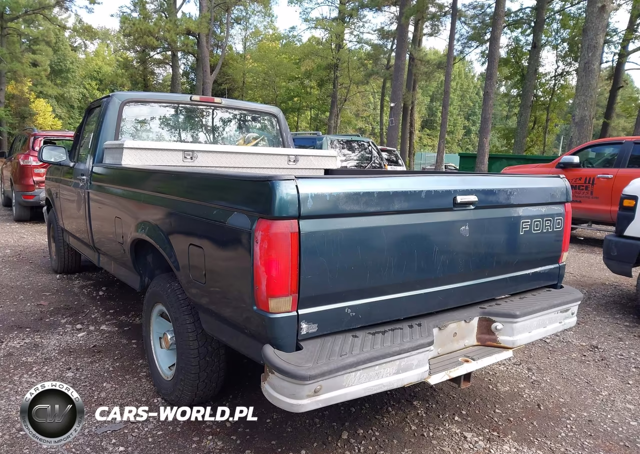 1995 Ford F150 VIN:1FTEF15NXSNA74000 - 6