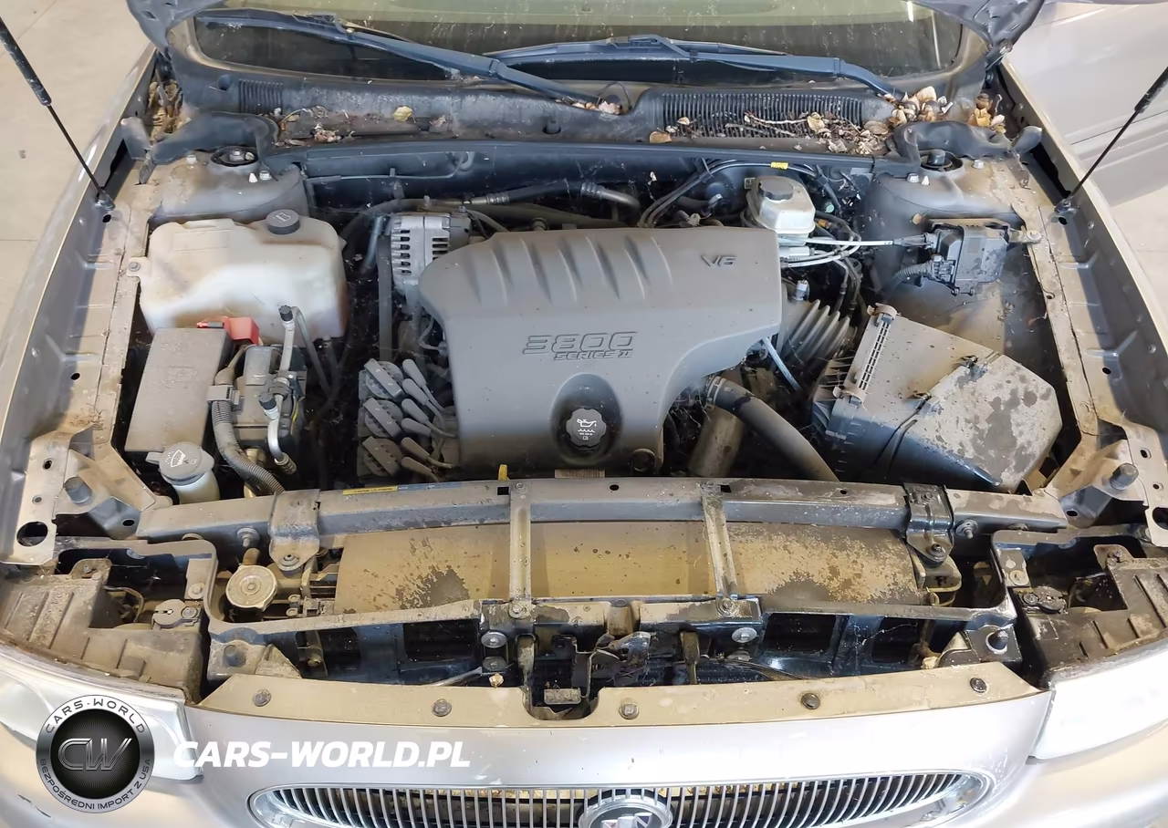 2003 Buick Lesabre Custom VIN:1G4HP52K434115316 - 10