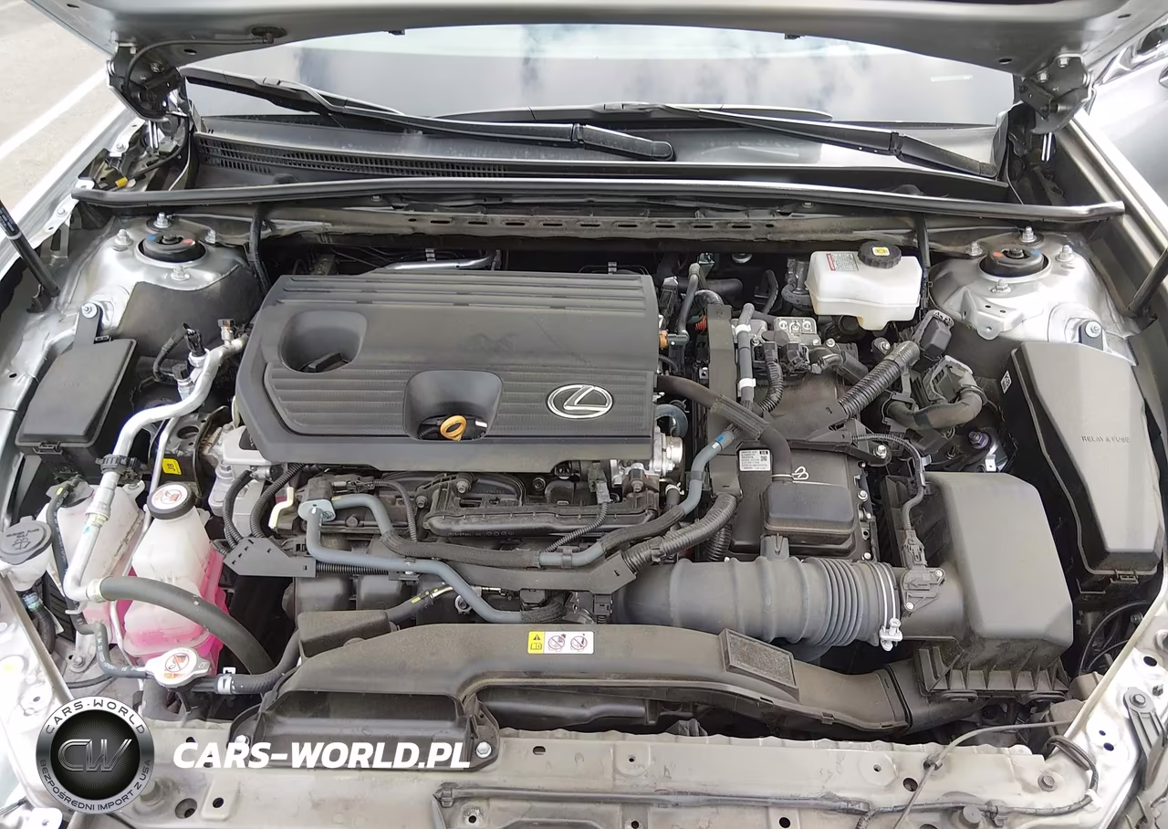 2024 Lexus Es 300H Luxury VIN:58AEA1C15RU042686 - 10