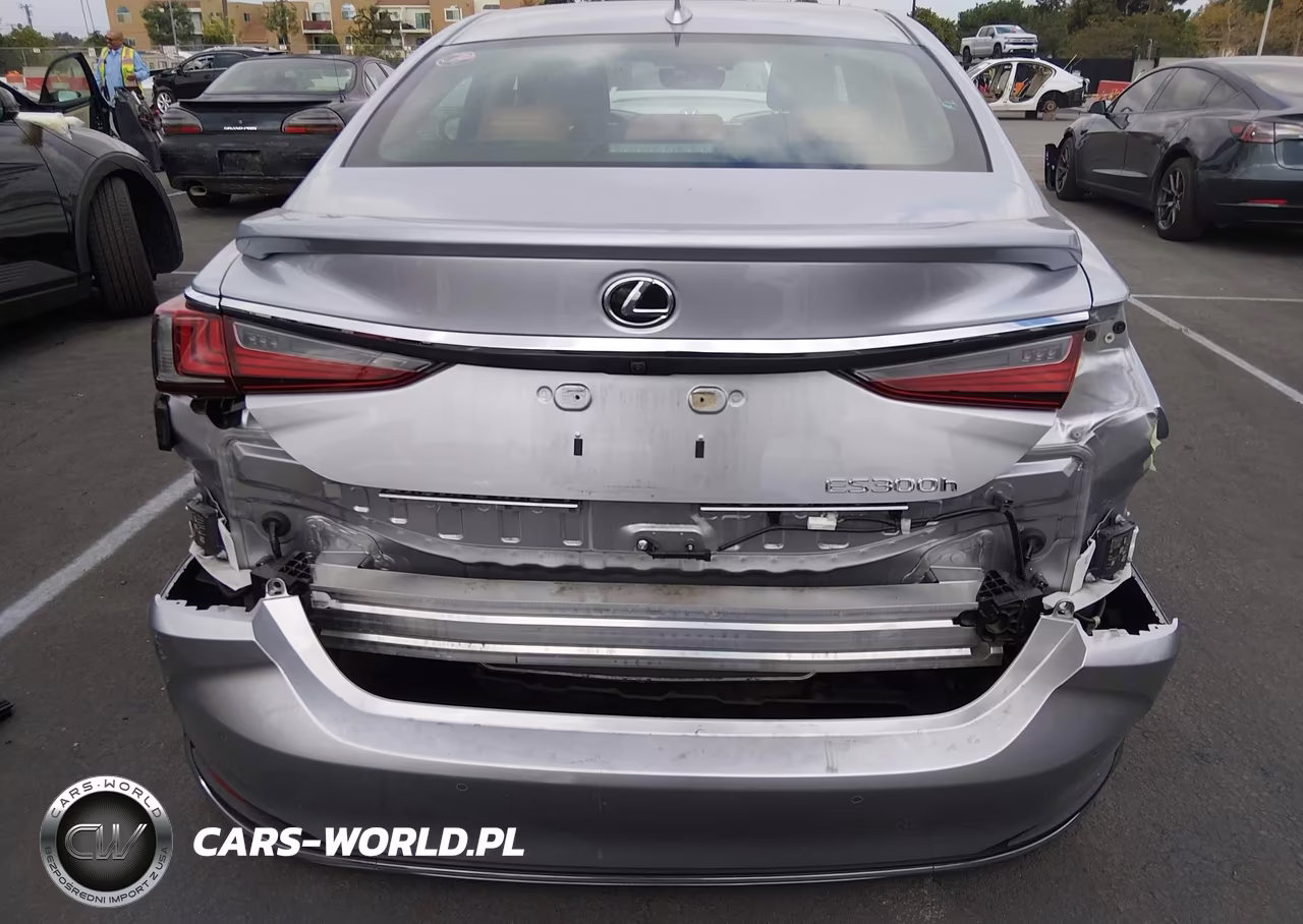 2024 Lexus Es 300H Luxury VIN:58AEA1C15RU042686 - 17