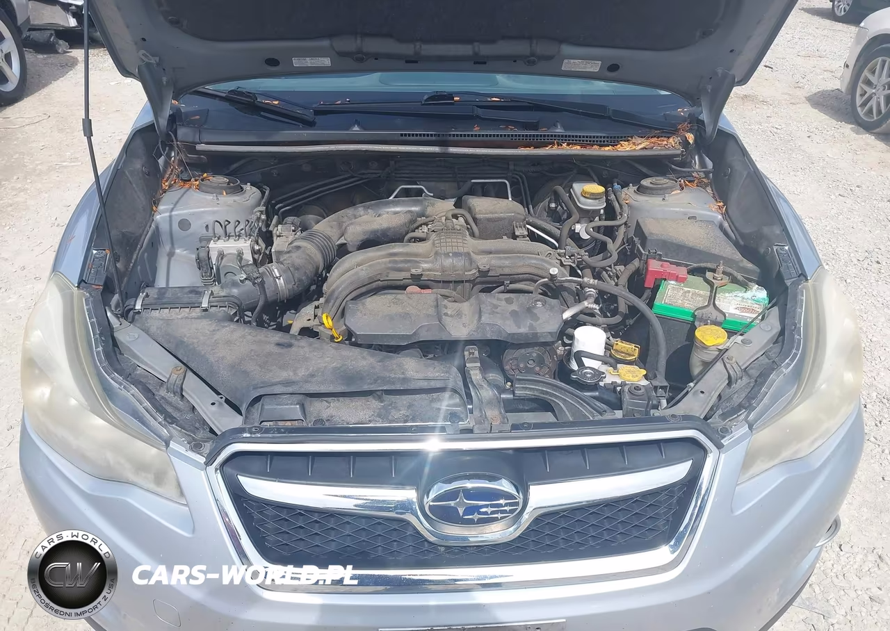 2015 Subaru Xv Crosstrek 2.0I Premium VIN:JF2GPACC9F8219346 - 10
