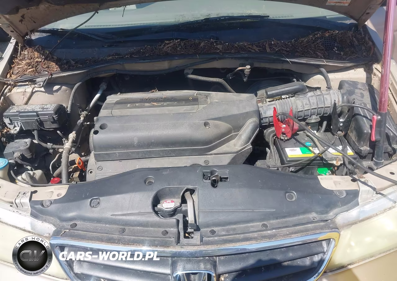 2002 Honda Odyssey Lx VIN:2HKRL18522H513700 - 10