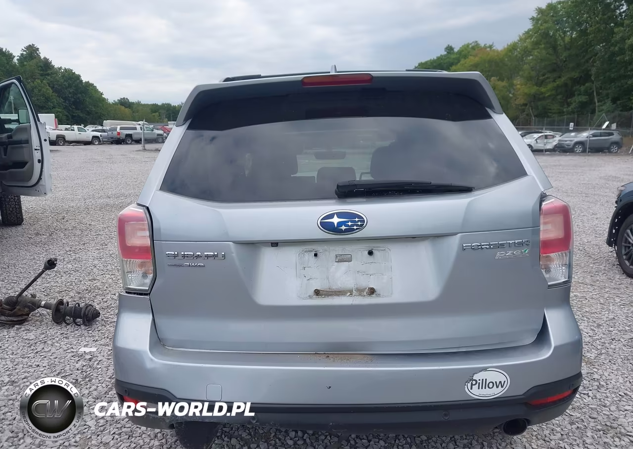 2017 Subaru Forester VIN:JF2SJAWC1HH446282 - 16
