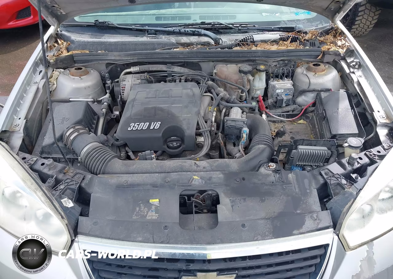 2006 Chevrolet Malibu Lt VIN:1G1ZT518X6F213889 - 10
