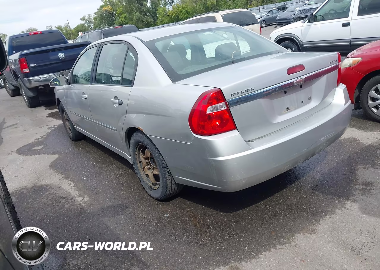 2006 Chevrolet Malibu Lt VIN:1G1ZT518X6F213889 - 3