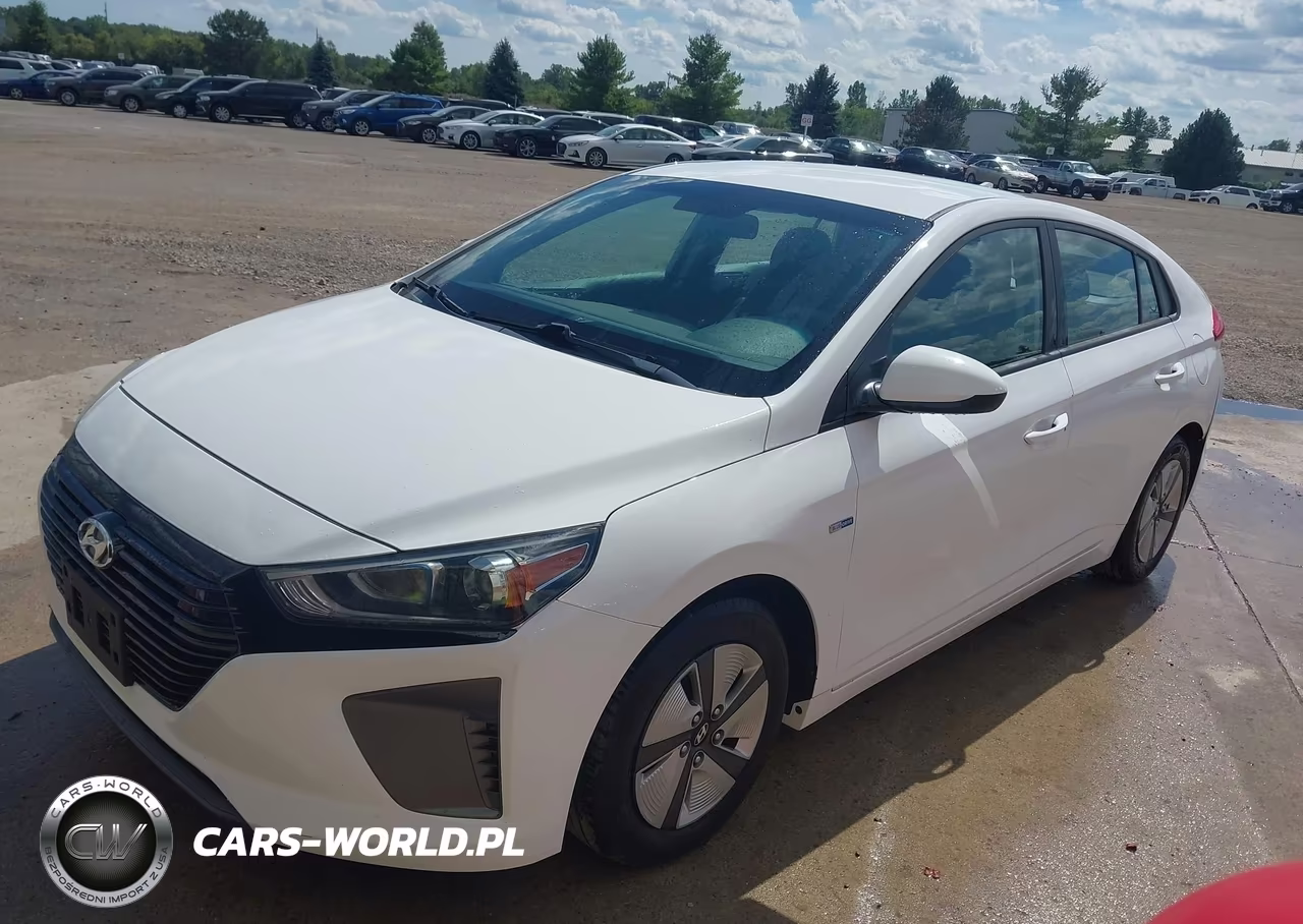 2019 Hyundai Ioniq Hybrid Blue VIN:KMHC65LC4KU106926 - 2