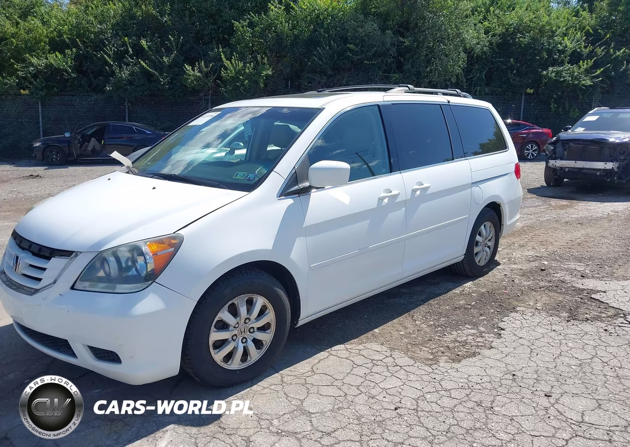 2009 Honda Odyssey Ex-L VIN:5FNRL38669B052305 - 2