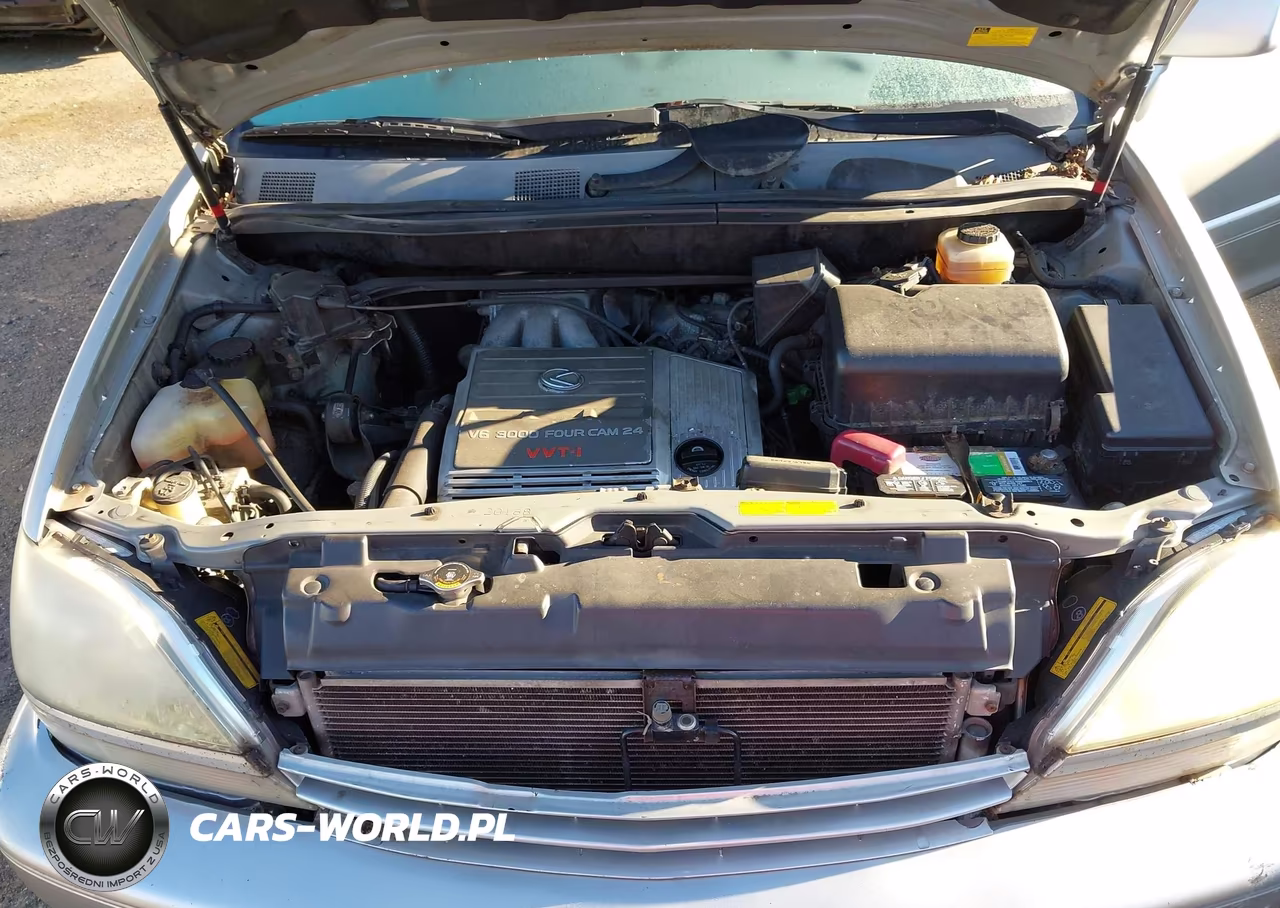 2001 Lexus Rx 300 VIN:JTJHF10U210212861 - 10