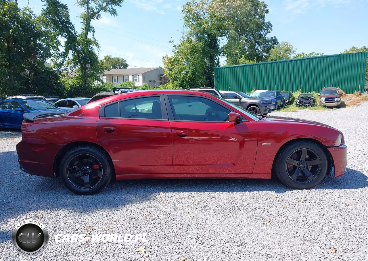 2014 Dodge Charger R-T 100Th Anniversary VIN:2C3CDXCT0EH227325 - 13