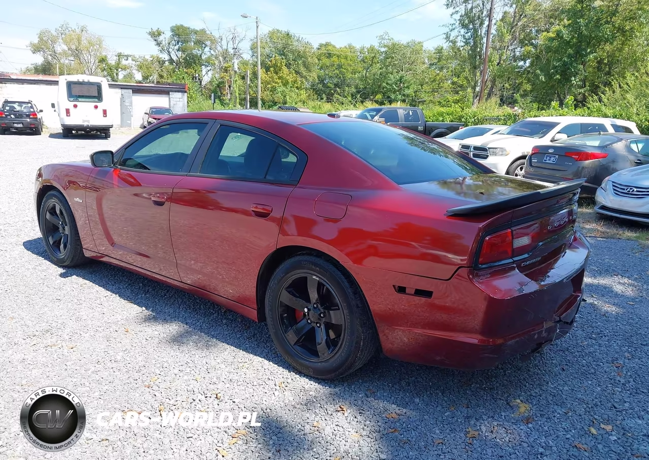 2014 Dodge Charger R-T 100Th Anniversary VIN:2C3CDXCT0EH227325 - 3