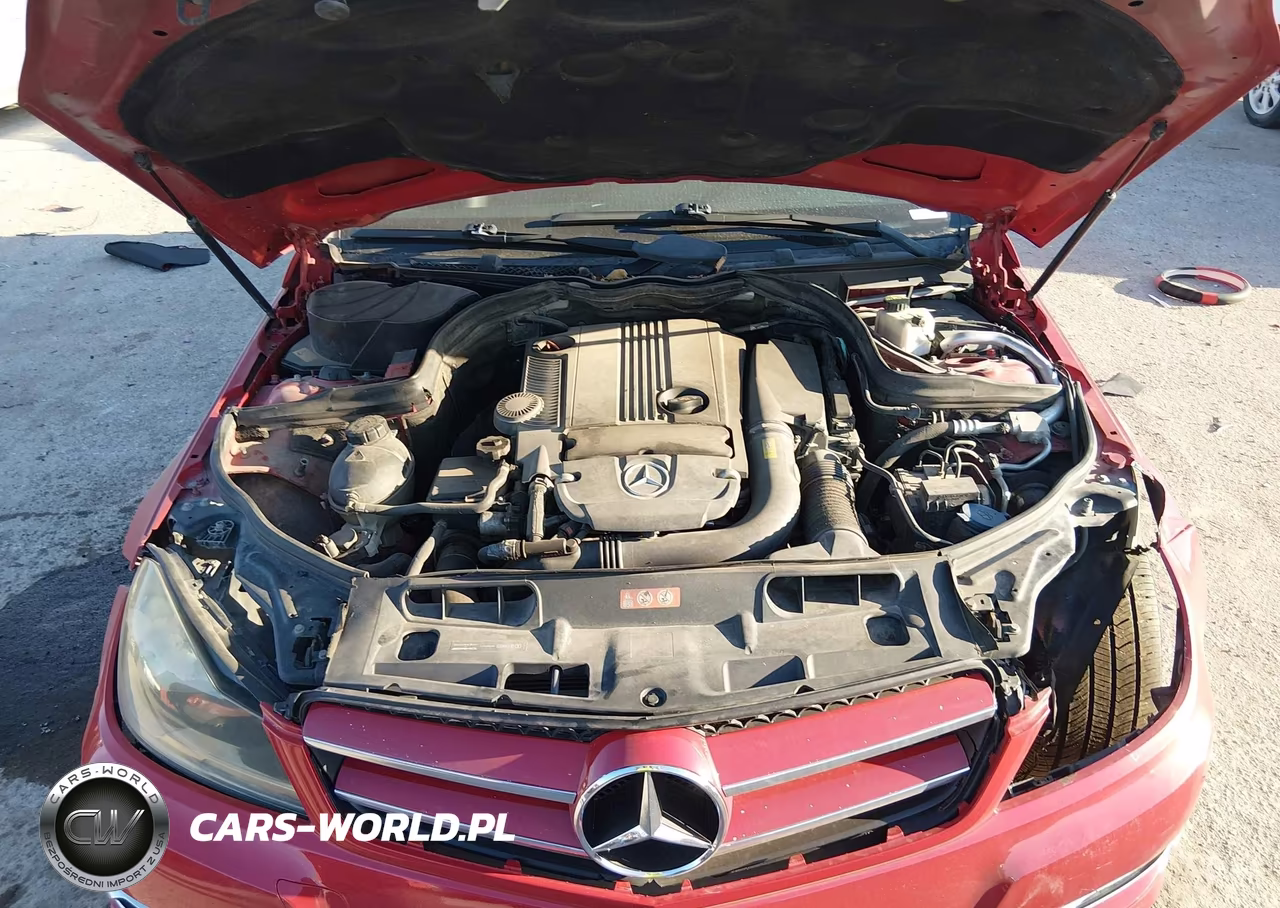 2013 Mercedes-Benz C 250 VIN:WDDGJ4HB9DF977803 - 10