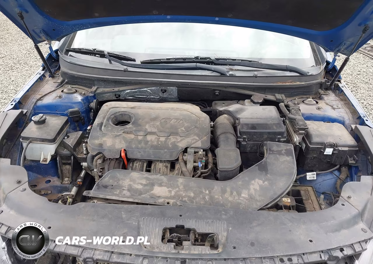 2016 Hyundai Sonata Se VIN:5NPE24AF3GH363691 - 10