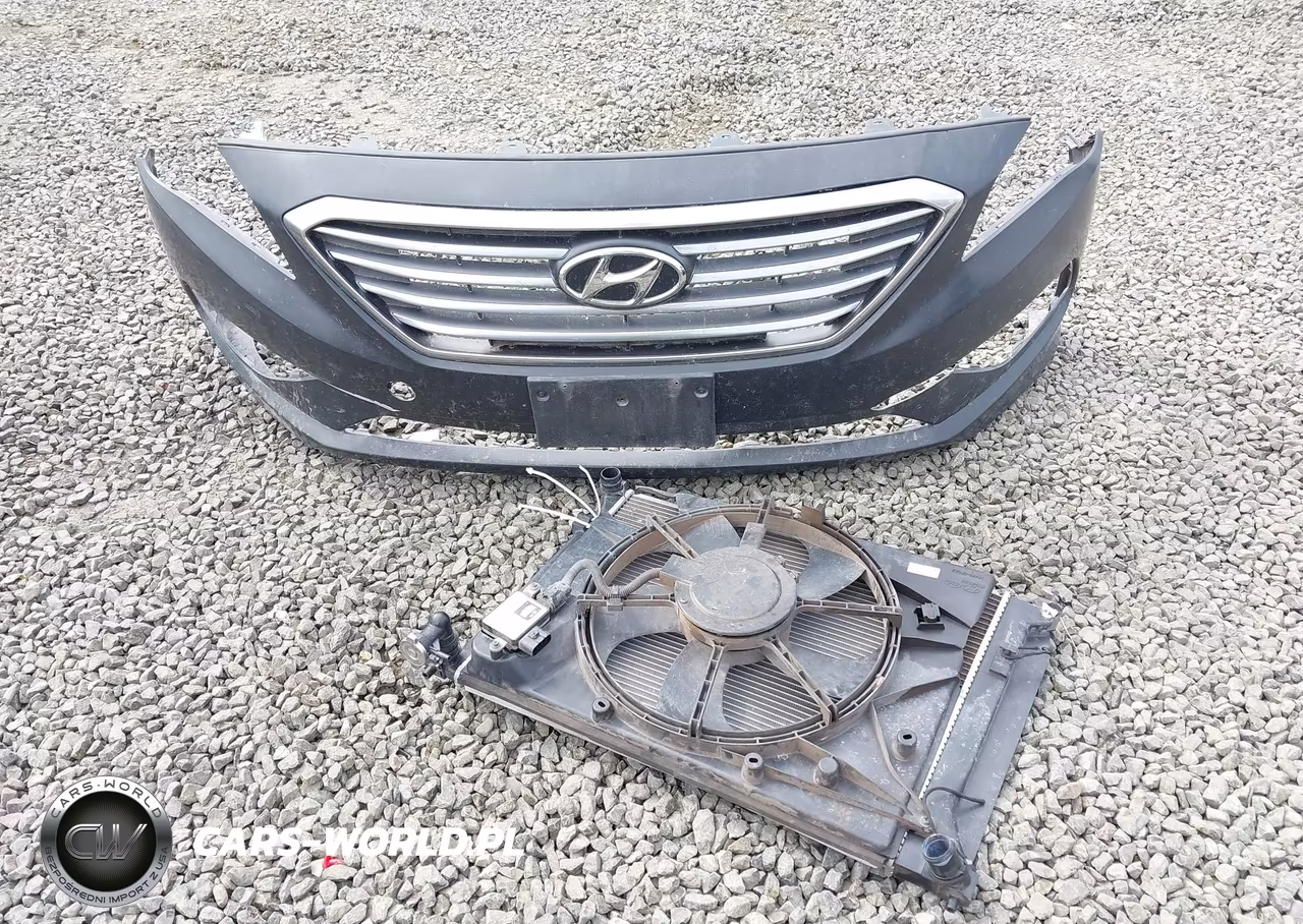 2016 Hyundai Sonata Se VIN:5NPE24AF3GH363691 - 12