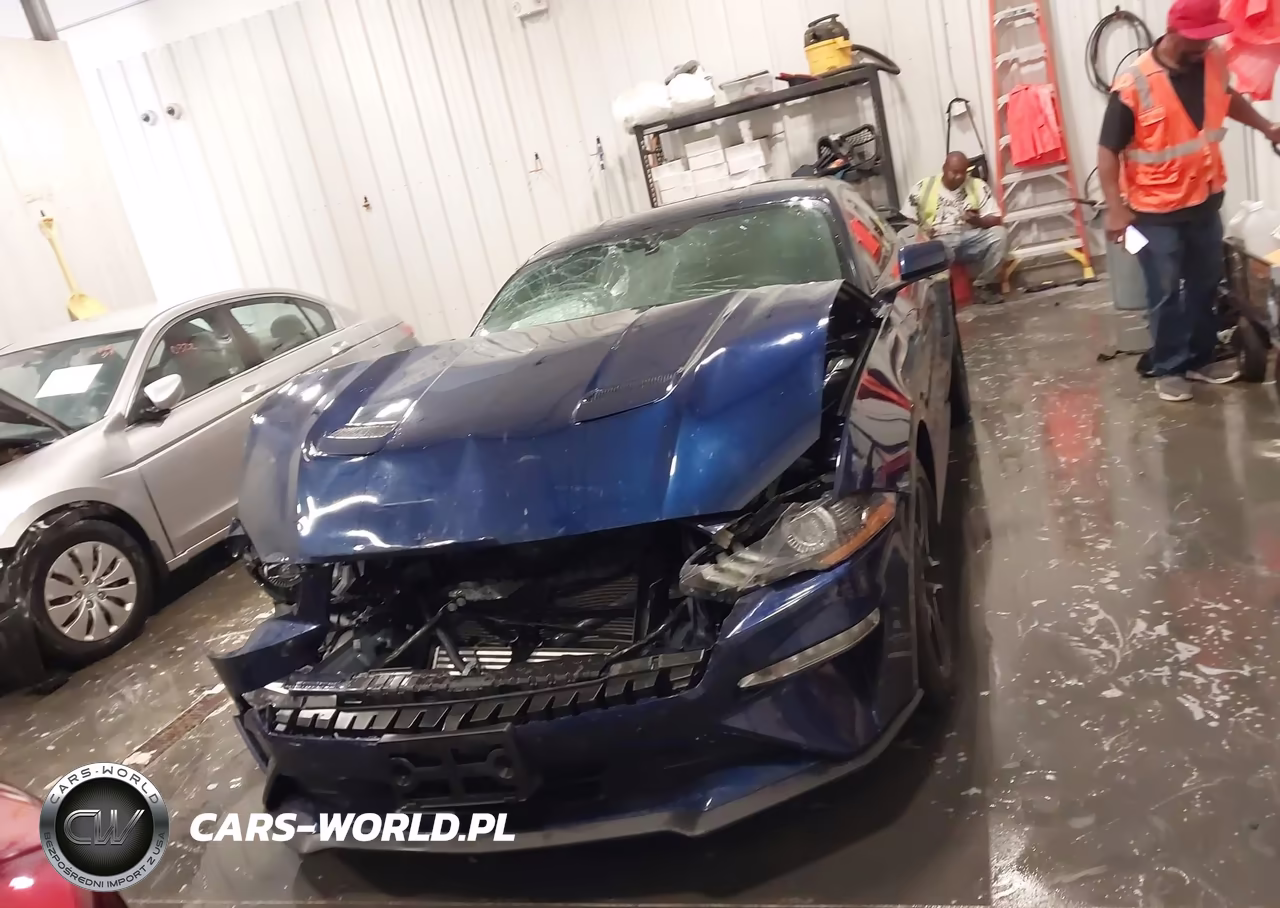 2018 Ford Mustang Ecoboost VIN:1FA6P8TH2J5176869 - 12