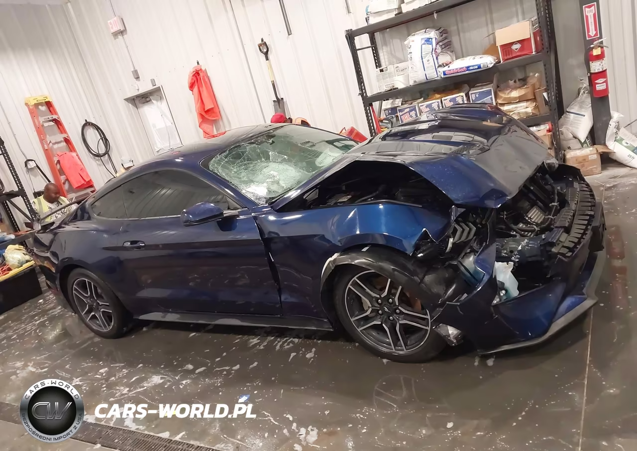 2018 Ford Mustang Ecoboost VIN:1FA6P8TH2J5176869 - 13
