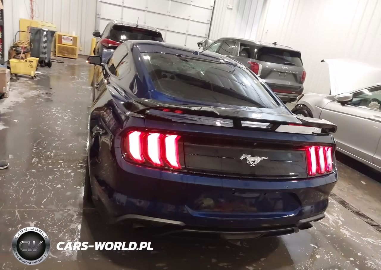 2018 Ford Mustang Ecoboost VIN:1FA6P8TH2J5176869 - 16