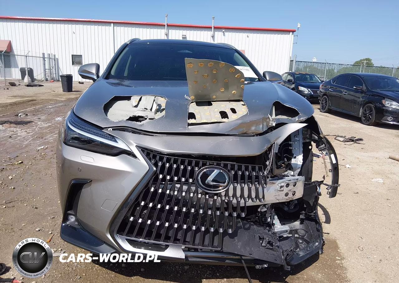 2024 Lexus Nx 350H Luxury VIN:2T2HKCEZ0RC025095 - 13