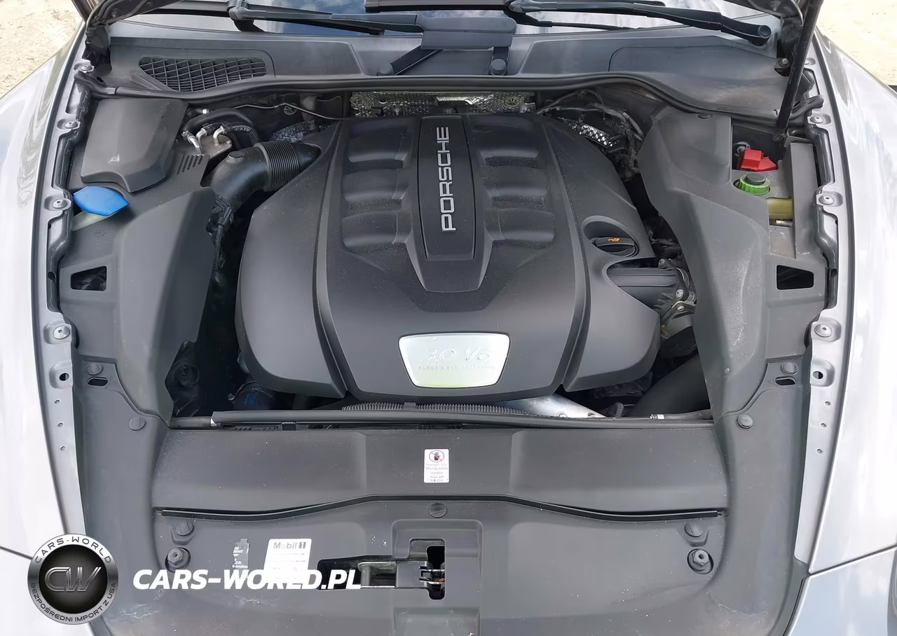 2013 Porsche Cayenne Diesel VIN:WP1AF2A26DLA42514 - 10