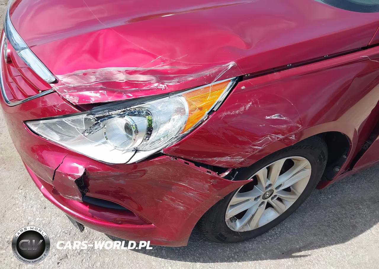 2013 Hyundai Sonata Gls VIN:5NPEB4AC2DH798042 - 18