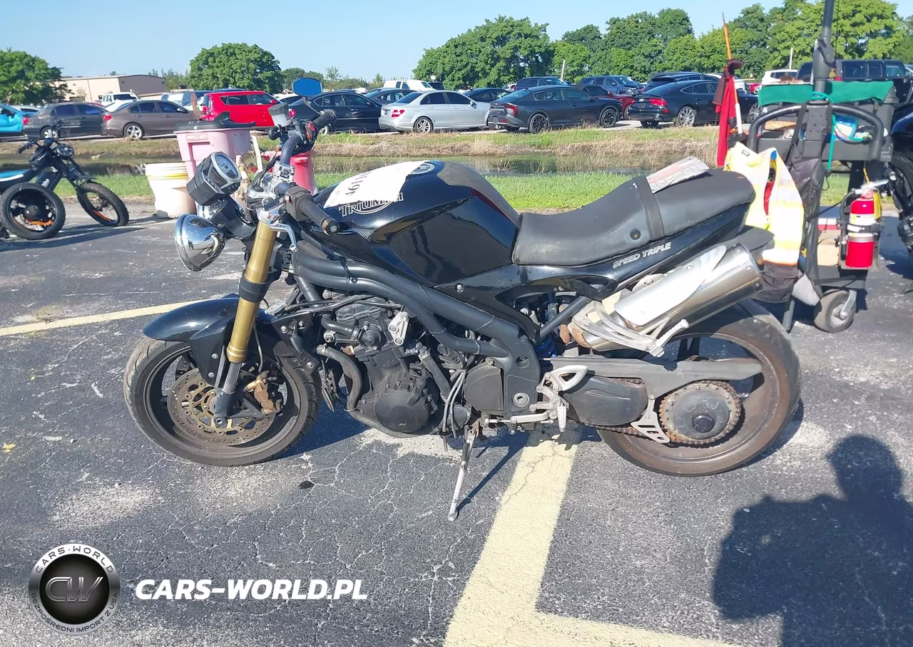 2007 Triumph Motorcycle Speed Triple VIN:SMT500PK07J282353 - 13