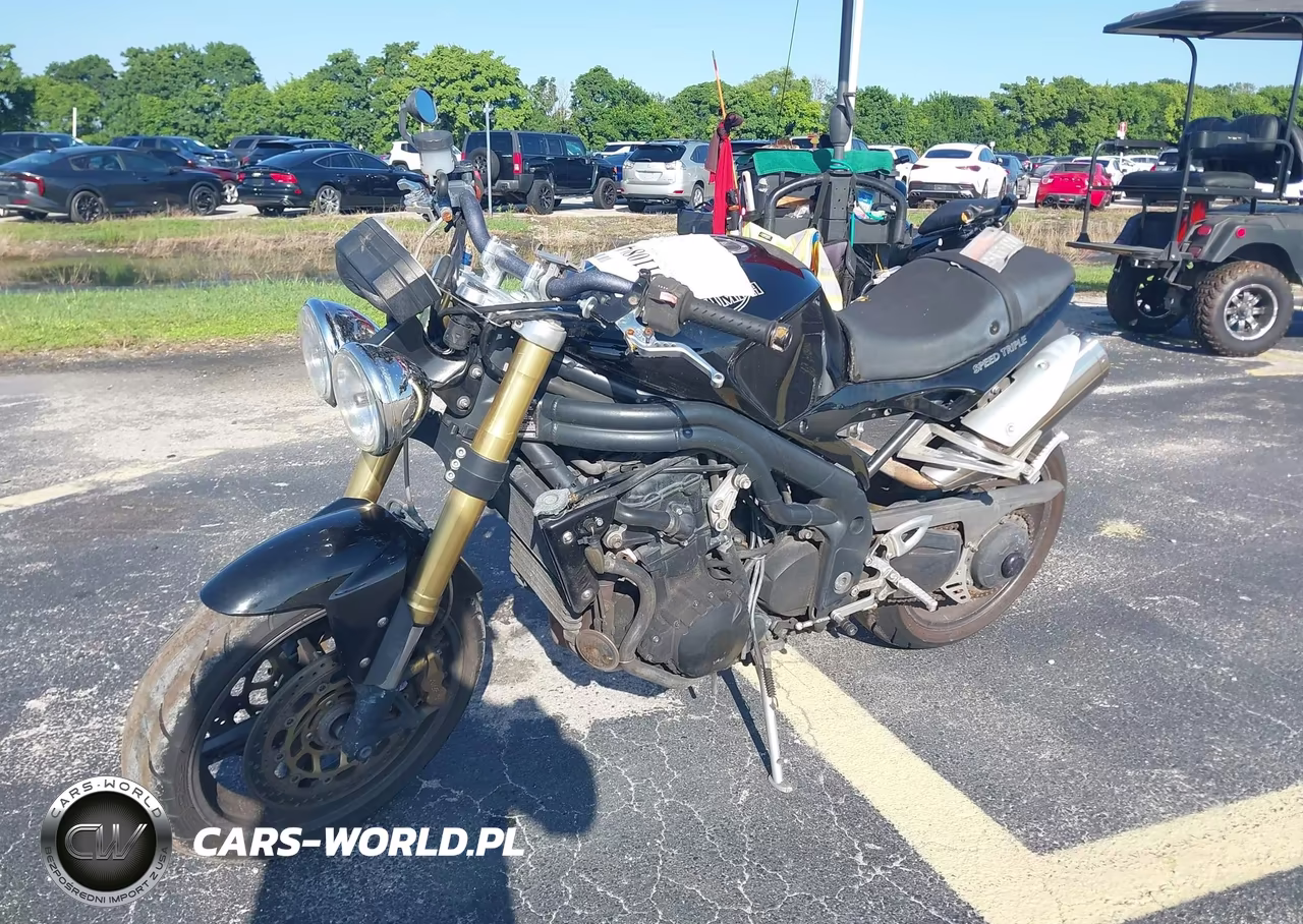 2007 Triumph Motorcycle Speed Triple VIN:SMT500PK07J282353 - 2