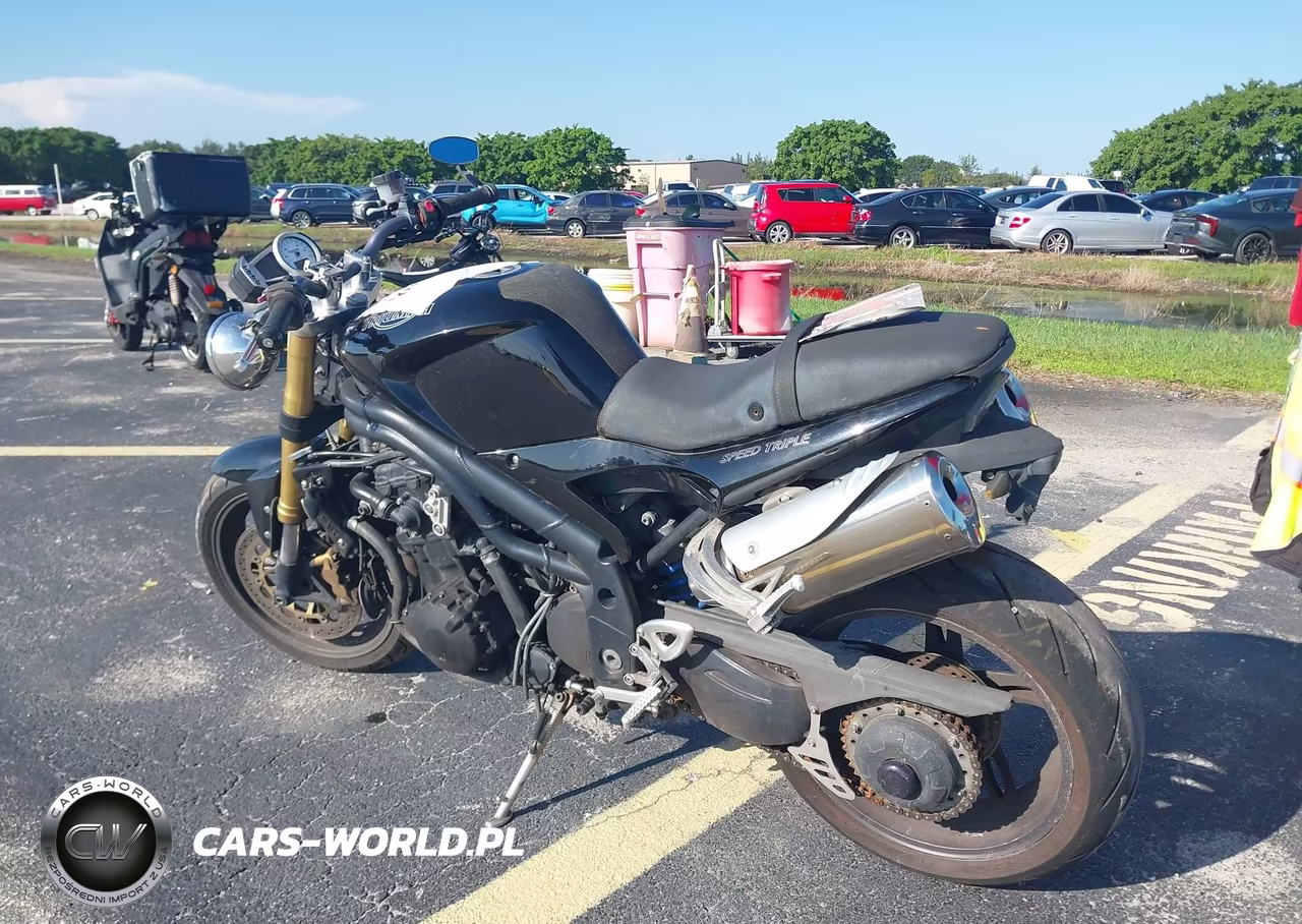 2007 Triumph Motorcycle Speed Triple VIN:SMT500PK07J282353 - 3