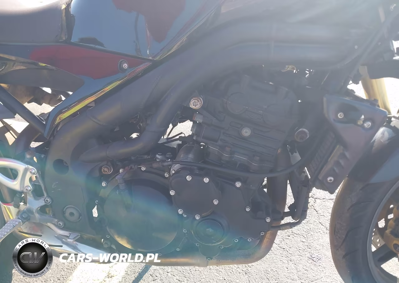 2007 Triumph Motorcycle Speed Triple VIN:SMT500PK07J282353 - 8