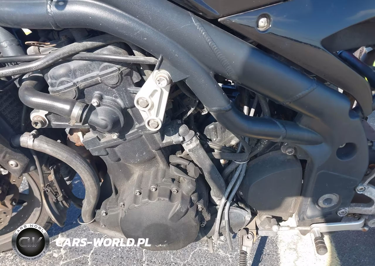 2007 Triumph Motorcycle Speed Triple VIN:SMT500PK07J282353 - 9