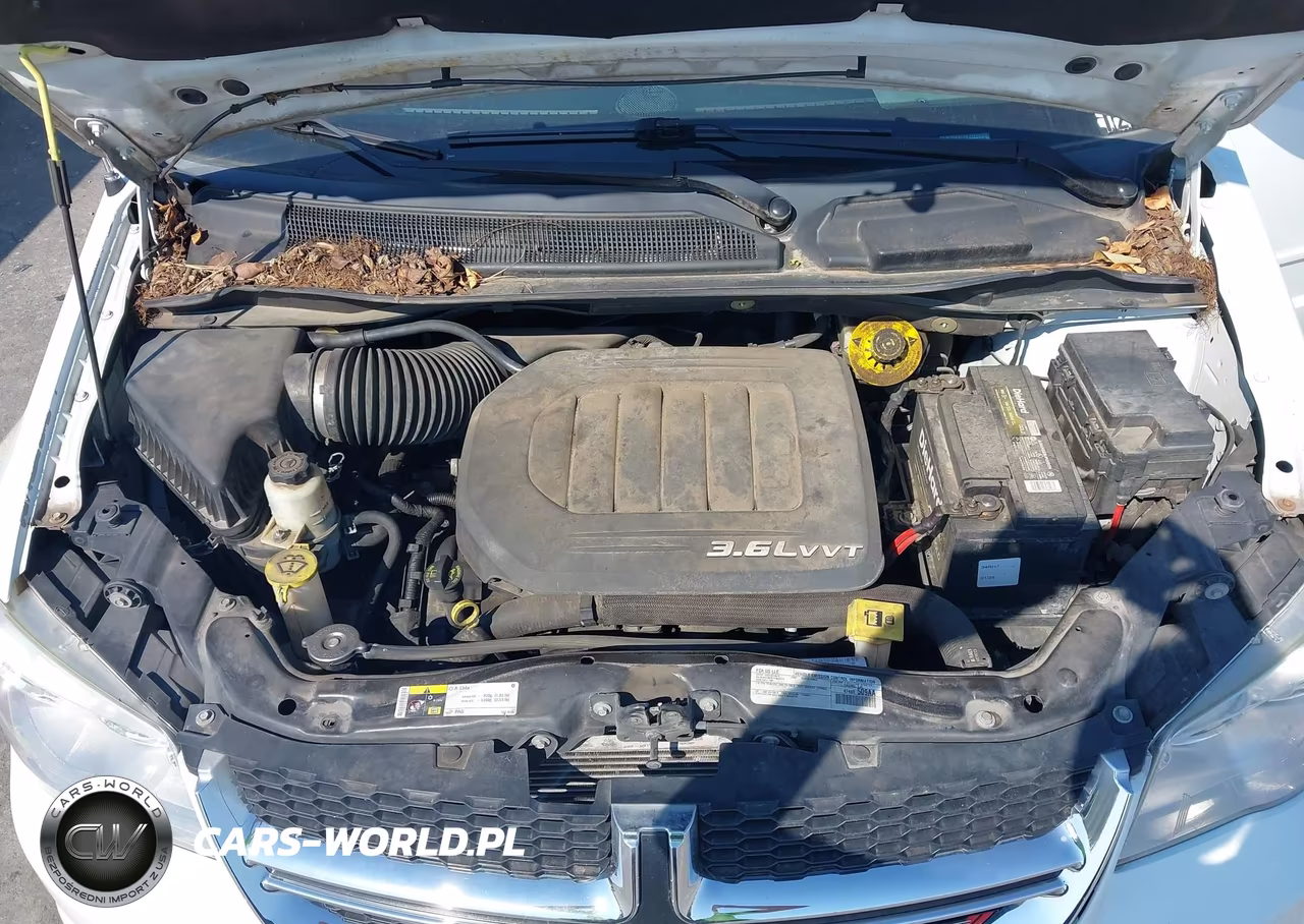 2016 Dodge Grand Caravan Se VIN:2C4RDGBG2GR319835 - 10