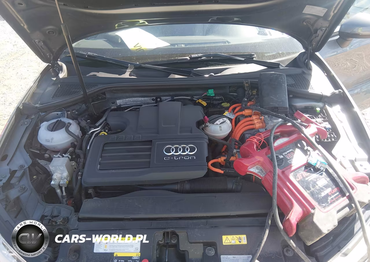 2017 Audi A3 E-Tron 1.4T Premium VIN:WAUUPBFF9HA055697 - 10