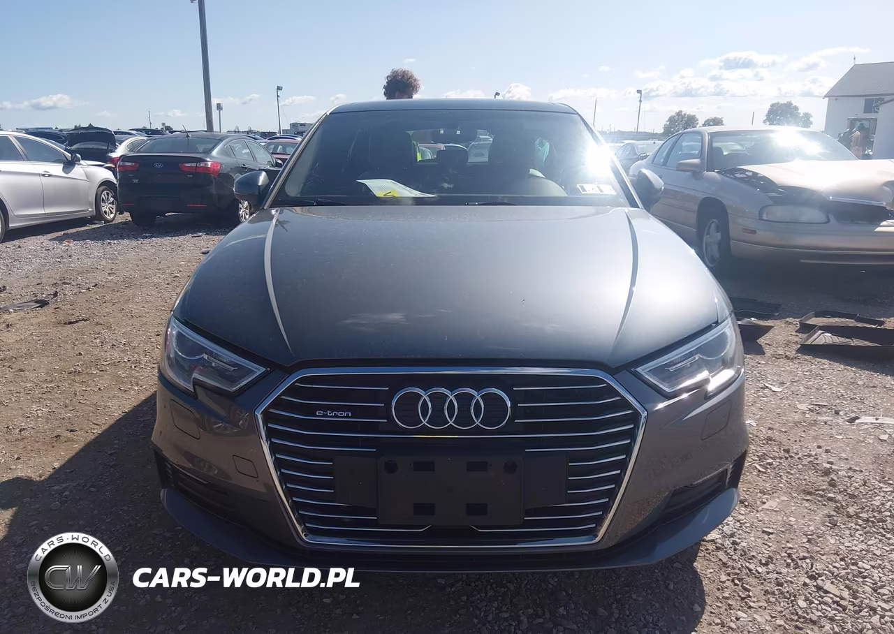 2017 Audi A3 E-Tron 1.4T Premium VIN:WAUUPBFF9HA055697 - 12