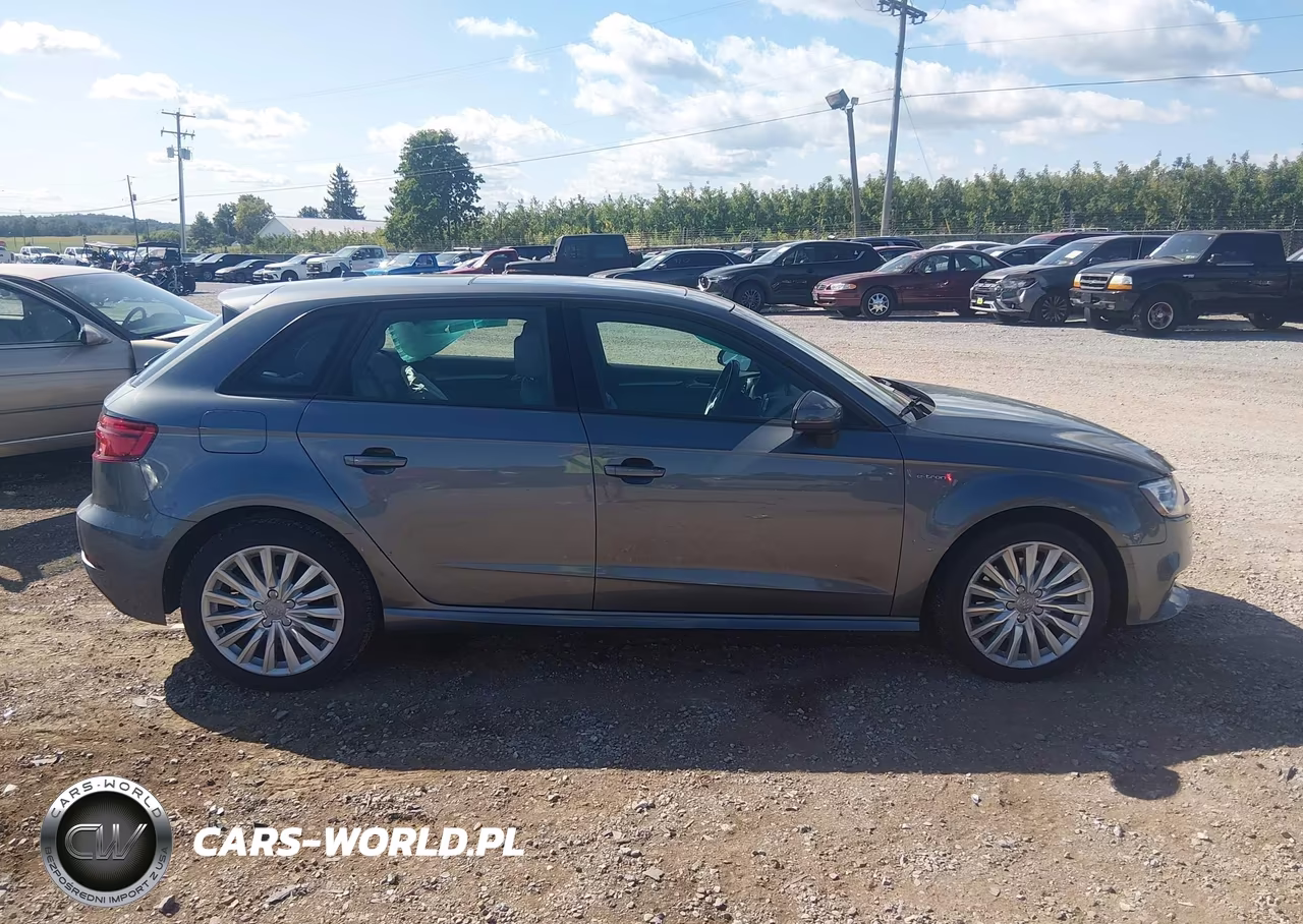 2017 Audi A3 E-Tron 1.4T Premium VIN:WAUUPBFF9HA055697 - 13