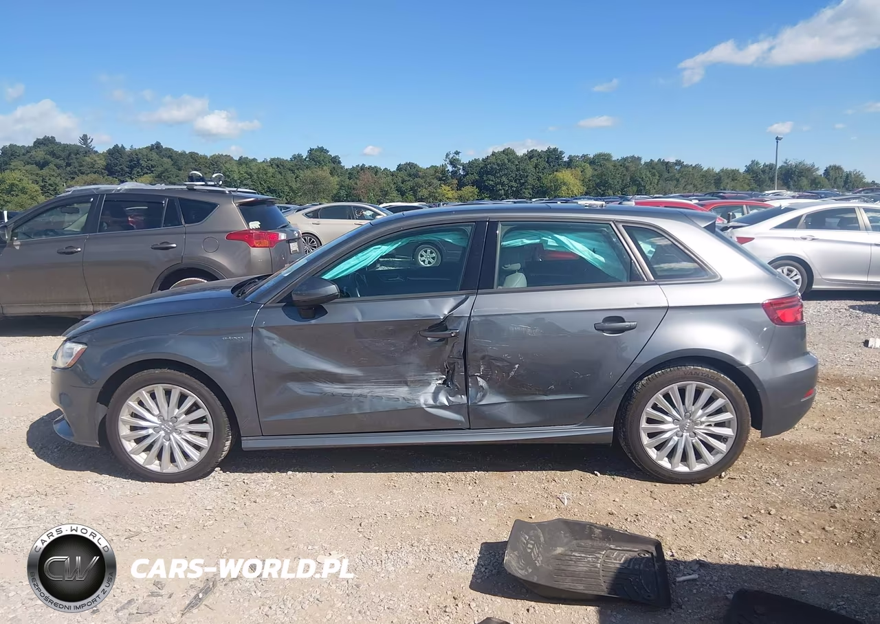 2017 Audi A3 E-Tron 1.4T Premium VIN:WAUUPBFF9HA055697 - 14