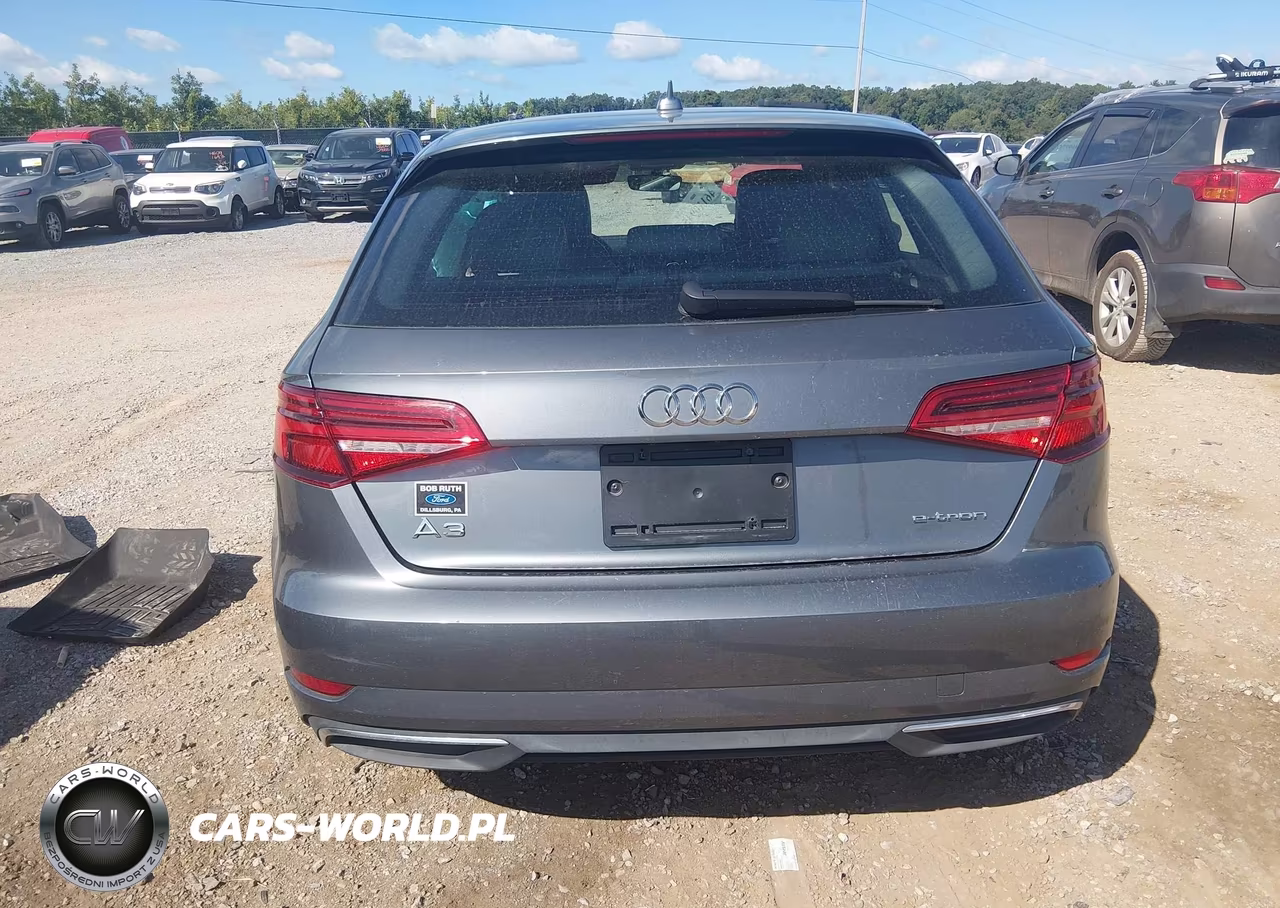 2017 Audi A3 E-Tron 1.4T Premium VIN:WAUUPBFF9HA055697 - 16
