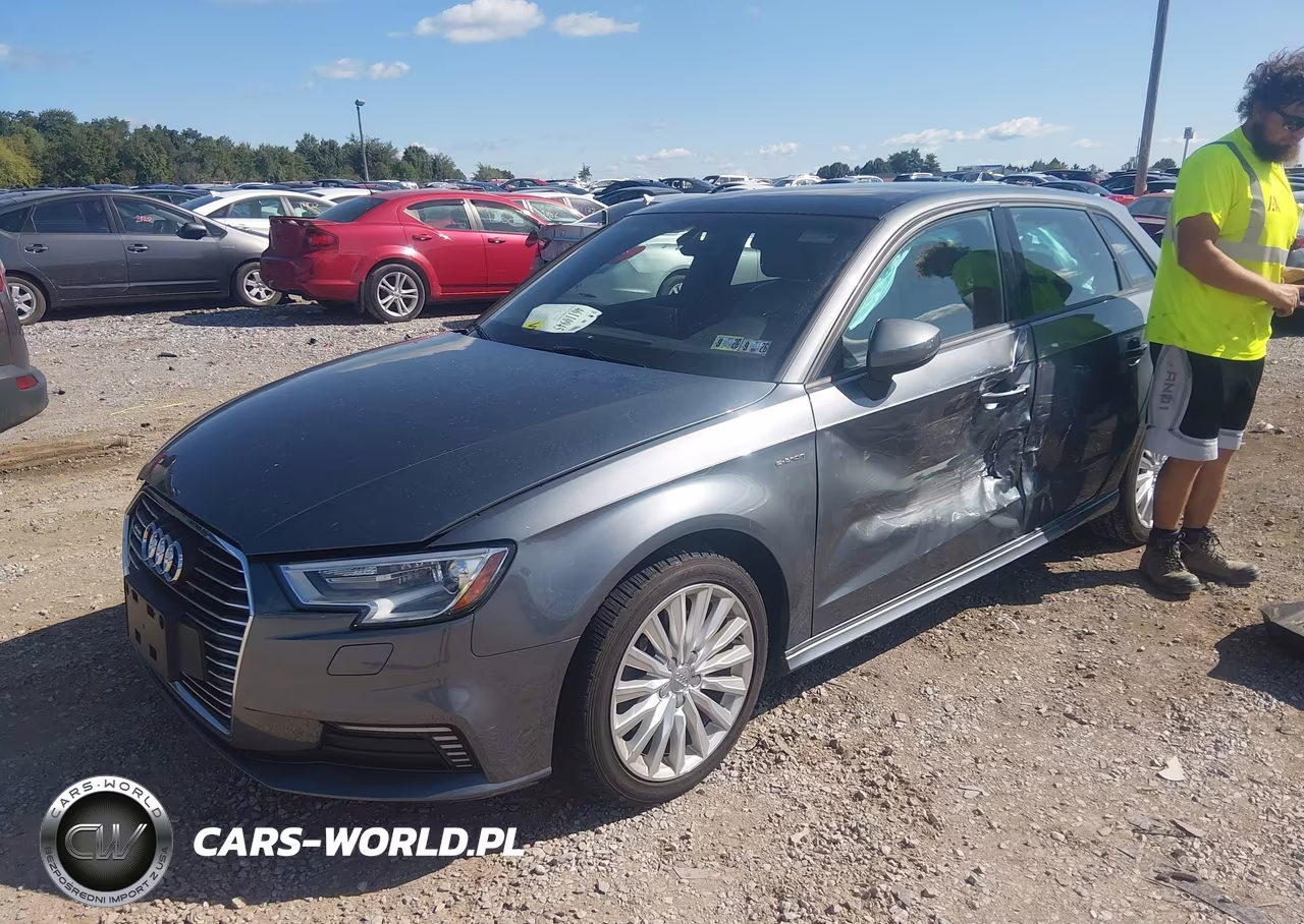 2017 Audi A3 E-Tron 1.4T Premium VIN:WAUUPBFF9HA055697 - 2