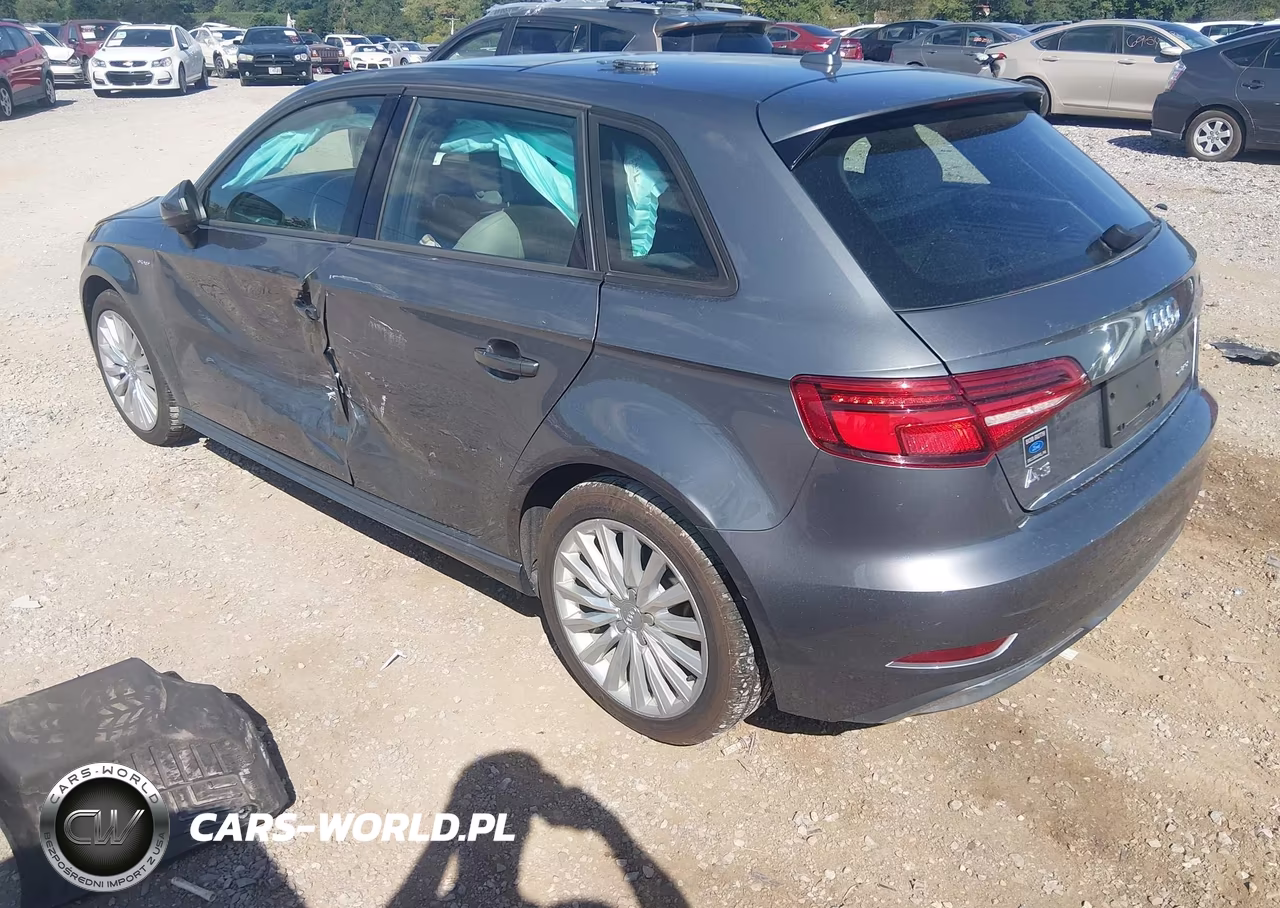 2017 Audi A3 E-Tron 1.4T Premium VIN:WAUUPBFF9HA055697 - 3